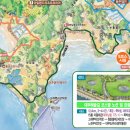 중앙고속관광㈜ 이미지