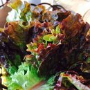 먹어바 뒷고기 이미지