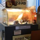 완산-134 | 전주 과일바구니 명절선물 추천 , 블루웨일더후르츠 효자점