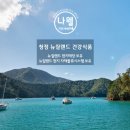 지티물류 | 뉴질랜드 건강식품 해외 직구 나웰에서 구매한 유기농 노니 후기