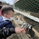 송산목장 이미지