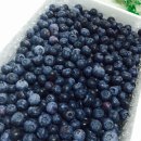 장동농장 이미지