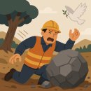 호남산업폐기물 | 📍김도영특수청소[사건사고이야기]김해 야산에서 벌목 중 발생한 바위 사고:안전관리 부실의 비극