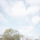 네오스튜디오 네이버블로그