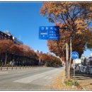 한걸음 여행사 이미지