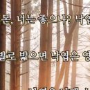 낙 엽(落 葉) (레미 드 구르몽 詩) 이미지