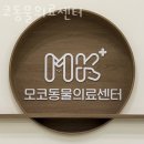 모코동물의료센터 이미지