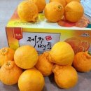 나영농장 이미지