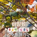 금풍농장 이미지