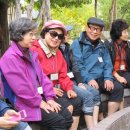 대구 약령시장 이미지