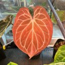 광재농장 | 3월의 일상