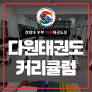 다원태권도장 네이버블로그