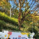 더키즈바이올린스튜디오음악학원