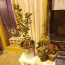 가야동의한의원 이미지