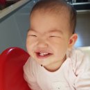 고릴라골프파주점 | 355일. 돌답례떡, 아기숟가락시흥점, 송현아, 모이몰른