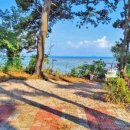 동서카매니아 이미지