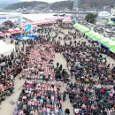 2026 울진대게축제 일정 가수 등 여섯가지 포인트