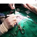 24시예스동물병원 이미지