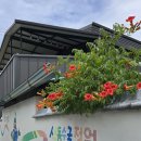 코끼리 손짜장 | 공주 당일치기 여행 1부 : 유구 수국정원 축제 코스 완벽 정리 (+전통시장, 전시관)