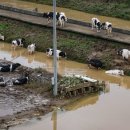 대전축사3 이미지