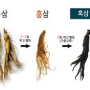 Re:흑삼 이란 이미지