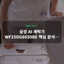 삼성인버터 세탁소 | 삼성 AI 세탁기 WF25DG8650BE 핵심 분석 &amp; 솔직 후기