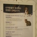 쿨펫이마트 목동점 동물병원 이미지