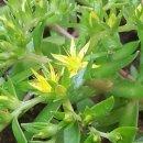 반송1동경로당 이미지