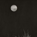 저 너머 달빛 이미지