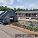 ﻿산으로 싸인 아늑한 불은면 농가주택806평,6억3000만원,강화도농가주택 이미지