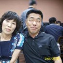 창문초 Daum카페