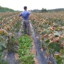 입동목장 이미지