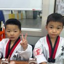 국가대표 영웅 태권도 이미지