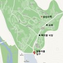 양동리향유 이미지