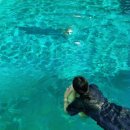 지리산안길펜션 이미지