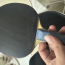 하야타 히나 h2 88g 가격내림 예약중 이미지