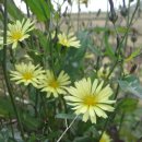 동지농장 이미지