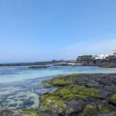 초록빛하루 이미지