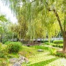 개봉중앙시장 이미지