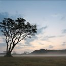 금성목장 이미지