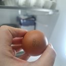 프라이말 주식회사 | 난각1번 건강한 유정란 먹어본 후기! 맛부터 색깔까지 다른 양계장청년 유정란