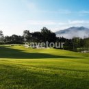 알프스대영 골프빌리지 이미지