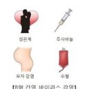 B형간염 항체 검사 전염 경로 이미지