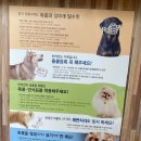 부일동물병원 이미지
