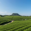 가은초등학교 | 가은초등학교 2박 3일 제주도 수학여행 | 리얼플랜제주 운영 후기