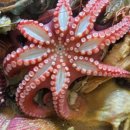 마당넓은 집 이미지