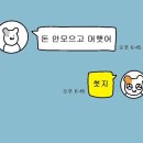 송파 마리동물병원 이미지