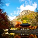 백양사 쌍계루 이미지