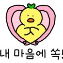 풀잎속의생명 이미지