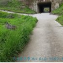 장성목장 이미지